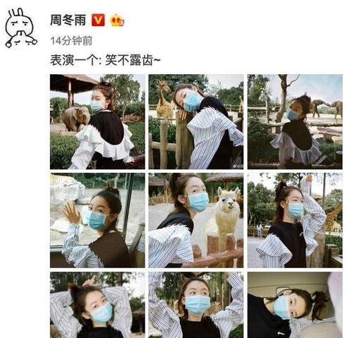 朝天新闻爆料最新消息,最新爆料揭示重大事件进展