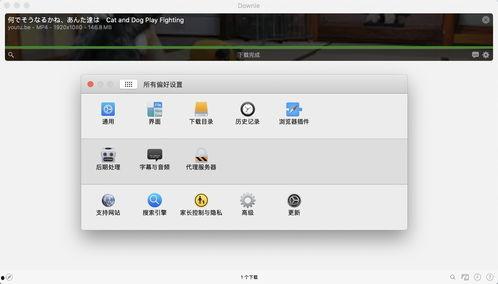 最新直播爆料视频下载软件,最新下载软件一网打尽热门视频
